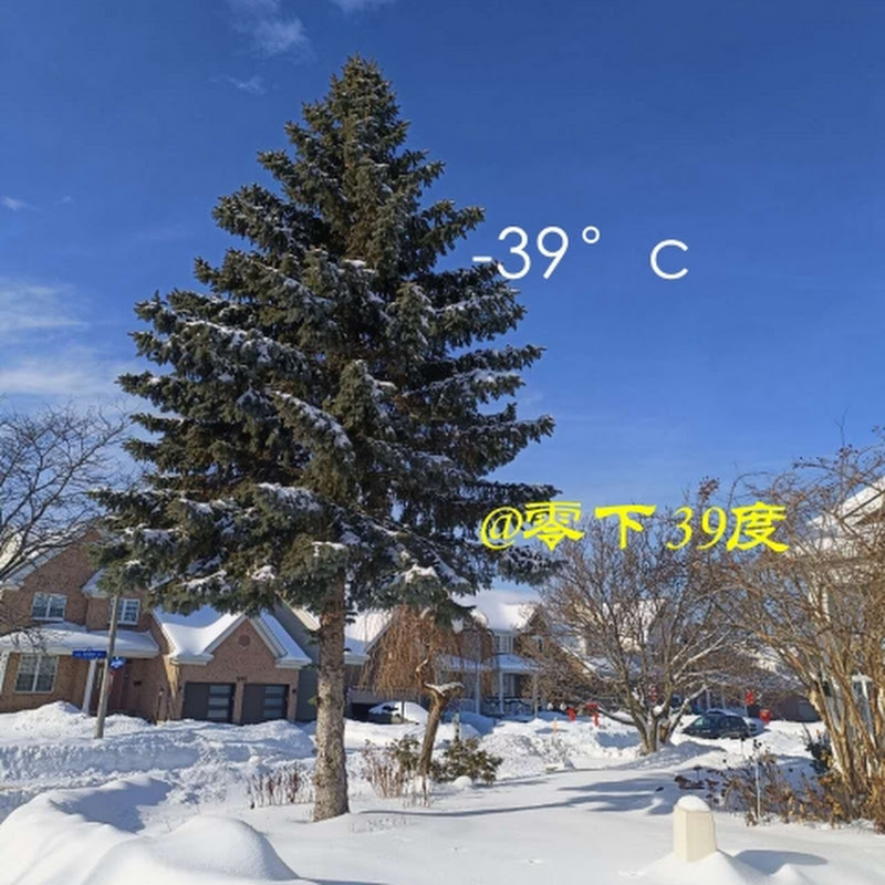零下三十九度39below