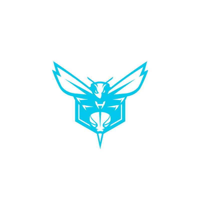 Charlotte Hornets