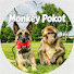 m0hXh06xYA4-channel-avatar-Monkey Pokot
