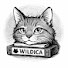 eOXqAc3O0AQ-channel-avatar-Wildica