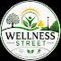 zRGdXdDKk0g-channel-avatar-Wellness Street