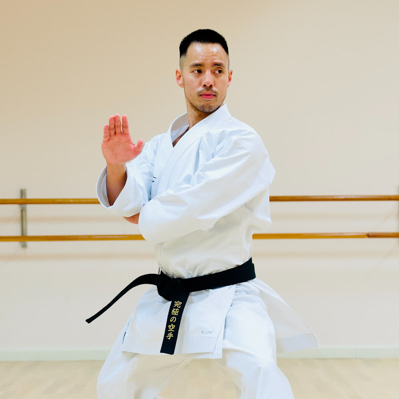 ULTIMATE KARATE