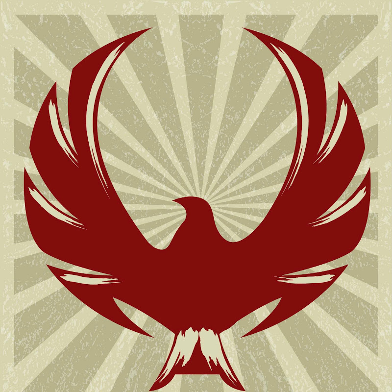 Martial Arts and Combat Sports Story