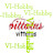 vittatus - VI-Hobby