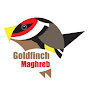 Goldfinch Maghreb logo