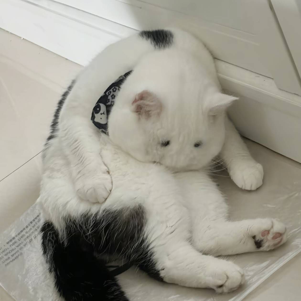 Post from Catherine Ren