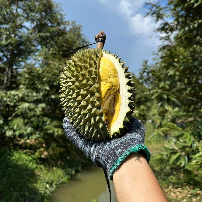 Durian Foods Vietnam