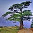 7kA4czgSCk8-channel-avatar-Chitral Valley