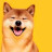 @dogge-korea