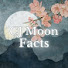 fFoVWseXse8-channel-avatar-CJ Moon Facts and CJ Moon Writes | JiKook Stories and Fiction