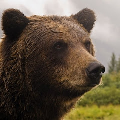 激渋ベアーアイコン画像