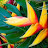 @heliconia971