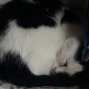 FatalPotato