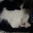 -CM2Fkb1AT8-channel-avatar-FatalPotato