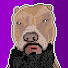 xHHPk77vc30-channel-avatar-MrDeniy