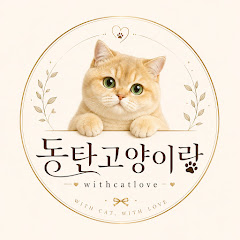동탄고양이랑(고양이전문캐터리)