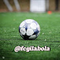 FC Gila bola  logo