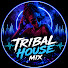 FxcVDFHtskc-channel-avatar-Tribal House Mix
