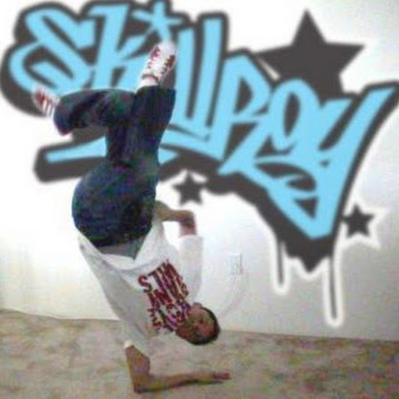 SKILLROY icon