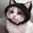 5-GmGH-IzTM-channel-avatar-ෆtogaෆ