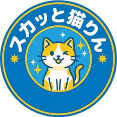スカッと猫りん
