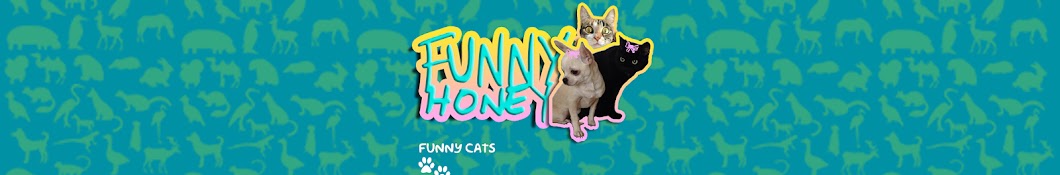 Funny Honey com YouTube-Kanal-Avatar