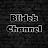 blidek channel
