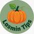fibLKsEWPDQ-channel-avatar-Lasmin Tips