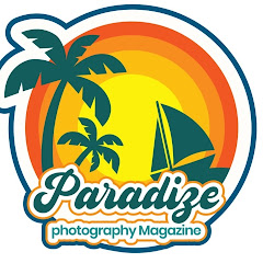 Paradize Magazine Network