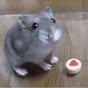 ハムスターといっしょのチャンネルアイコン