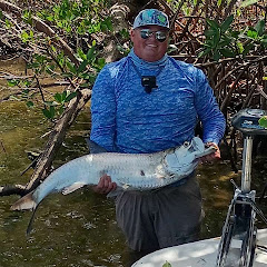 Lined up Fishing
