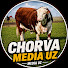 u2HqVLfv8sA-channel-avatar-CHORVA MEDIA UZ