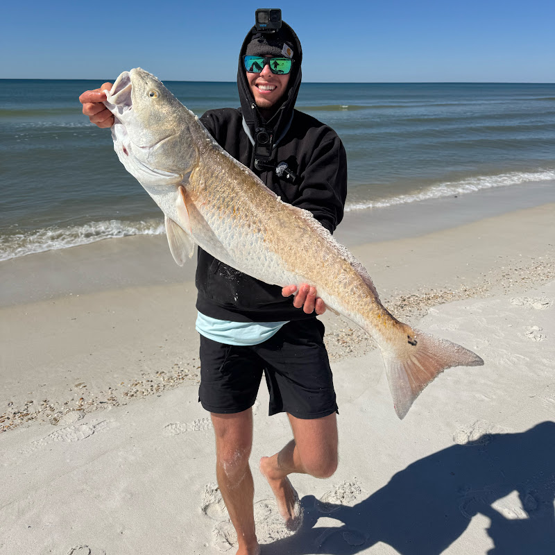 I stabbed my dinner! #fishing #fishingvideo #fish #catchandcook