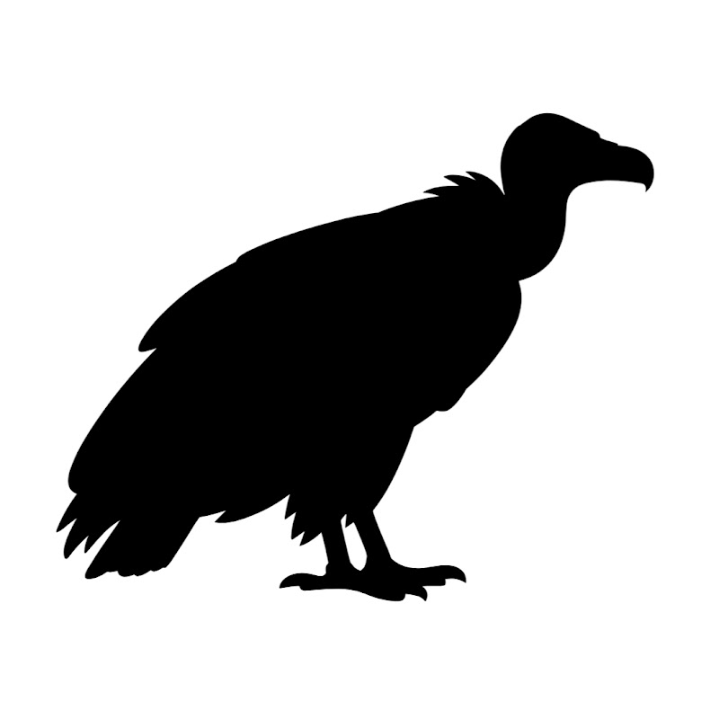 Charter Wildlife Cams logo