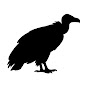 Charter Wildlife Cams