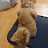 @평화-h3h