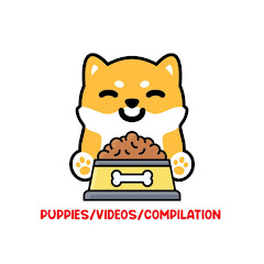Puppies/Videos/Compilation