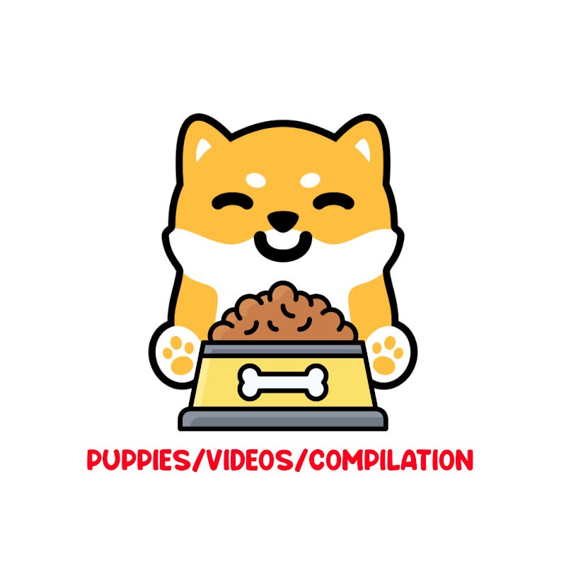 Puppies/Videos/Compilation