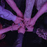 fYgBqbzjrxk-channel-avatar-FANFICTION WORLD ♡