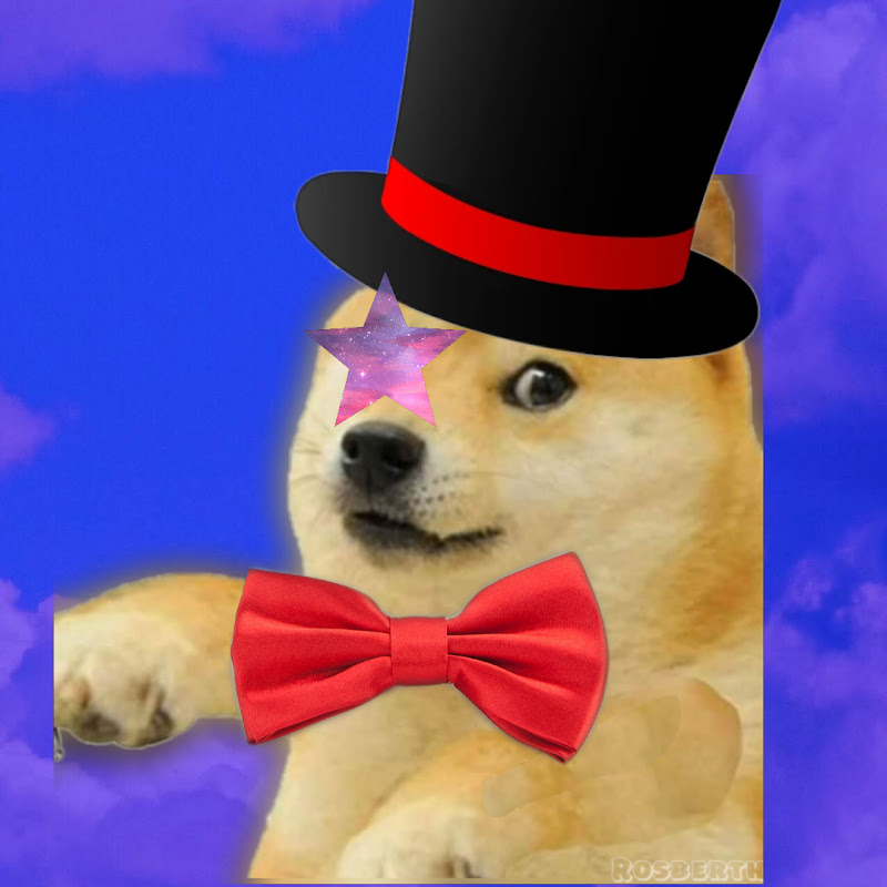 Mr.Dogema