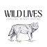 cvlQr-fOa-w-channel-avatar-WILD LIVES: Explore. Human. Nature.