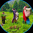t9A5tDyUm78-channel-avatar-VillageLifeNepal