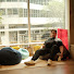 5VGwoOZnJPI-channel-avatar-Andrew Silla