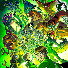 ClwcrNnY_8o-channel-avatar-PlotNationTheGroundedForeverVideoMaker2026