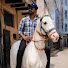 PUstgJ2PwKA-channel-avatar-MOHIT HORSE VLOGS
