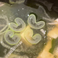 うわああ