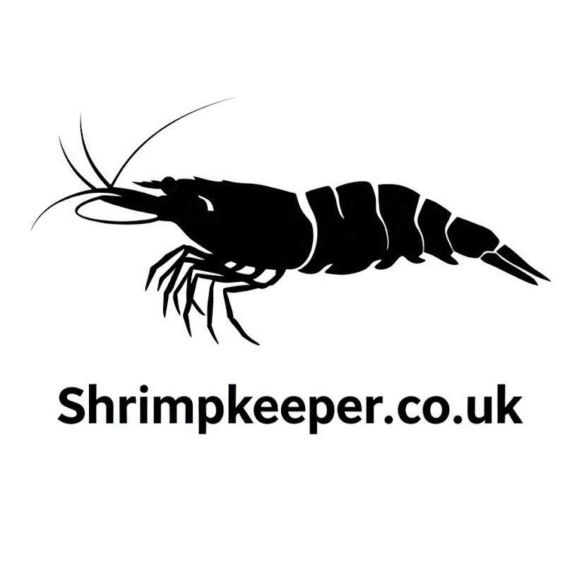 ShrimpKeepingAnswers