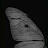@AliSaied-h9m