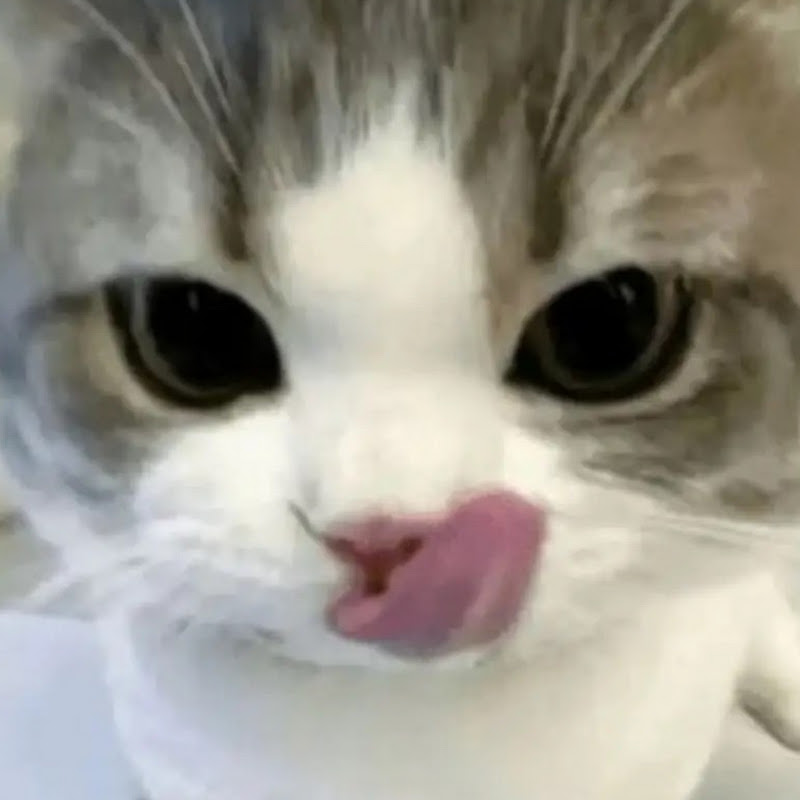 hi i’m haru