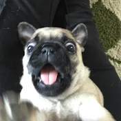 huevitoジ